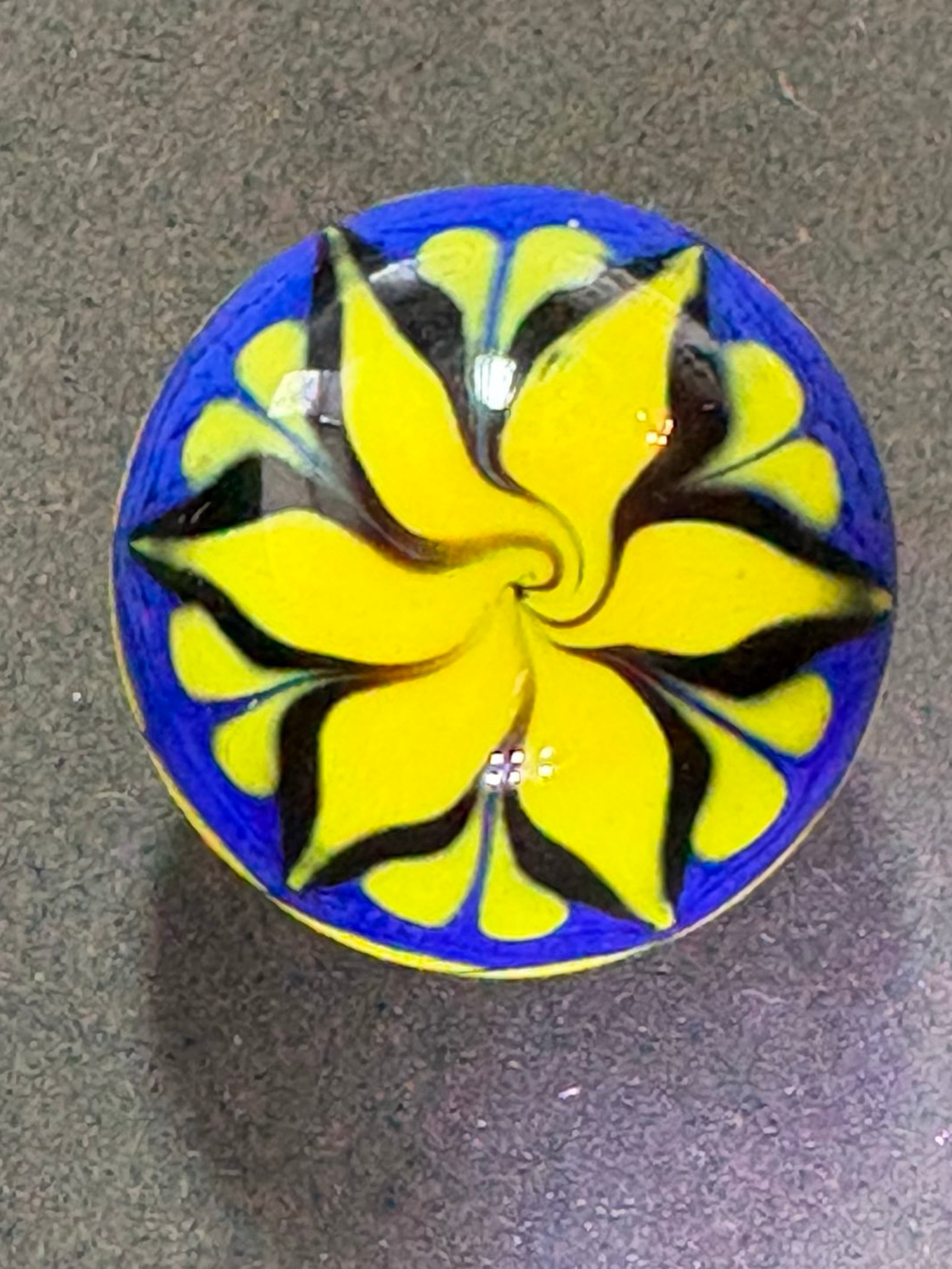 Dinah Hulet Yellow Blue Marble image 0