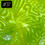 Small image 7