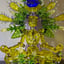 Small image 8
