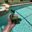 Small image 0