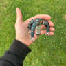 Small image 3