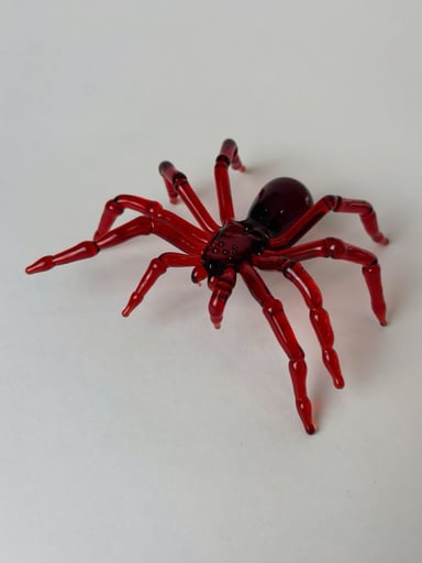 Preview pic of Pomegranate tarantula