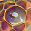 Small image 9