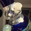 Small image 7