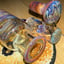 Small image 5