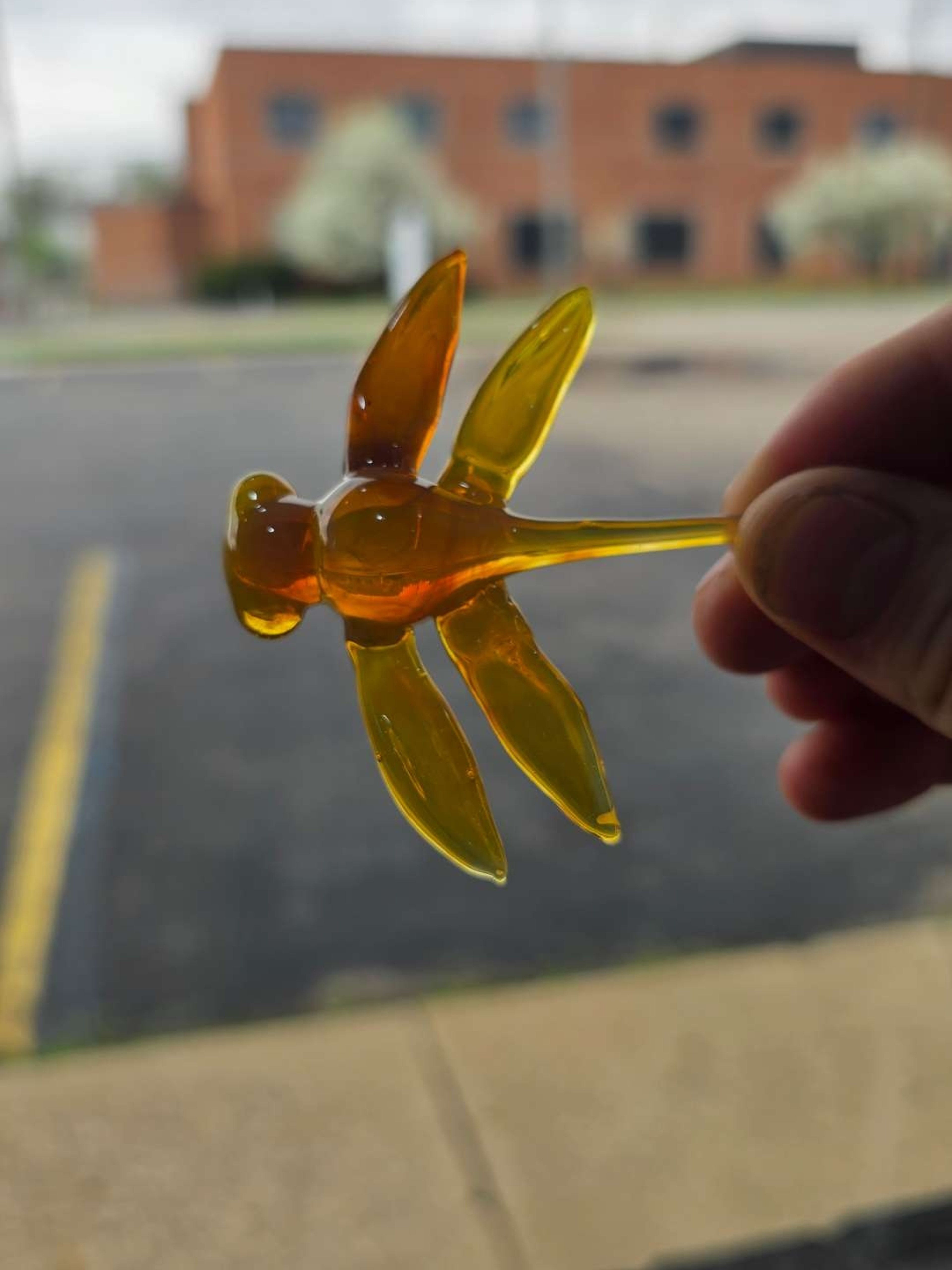 Preview pic of Dragonfly