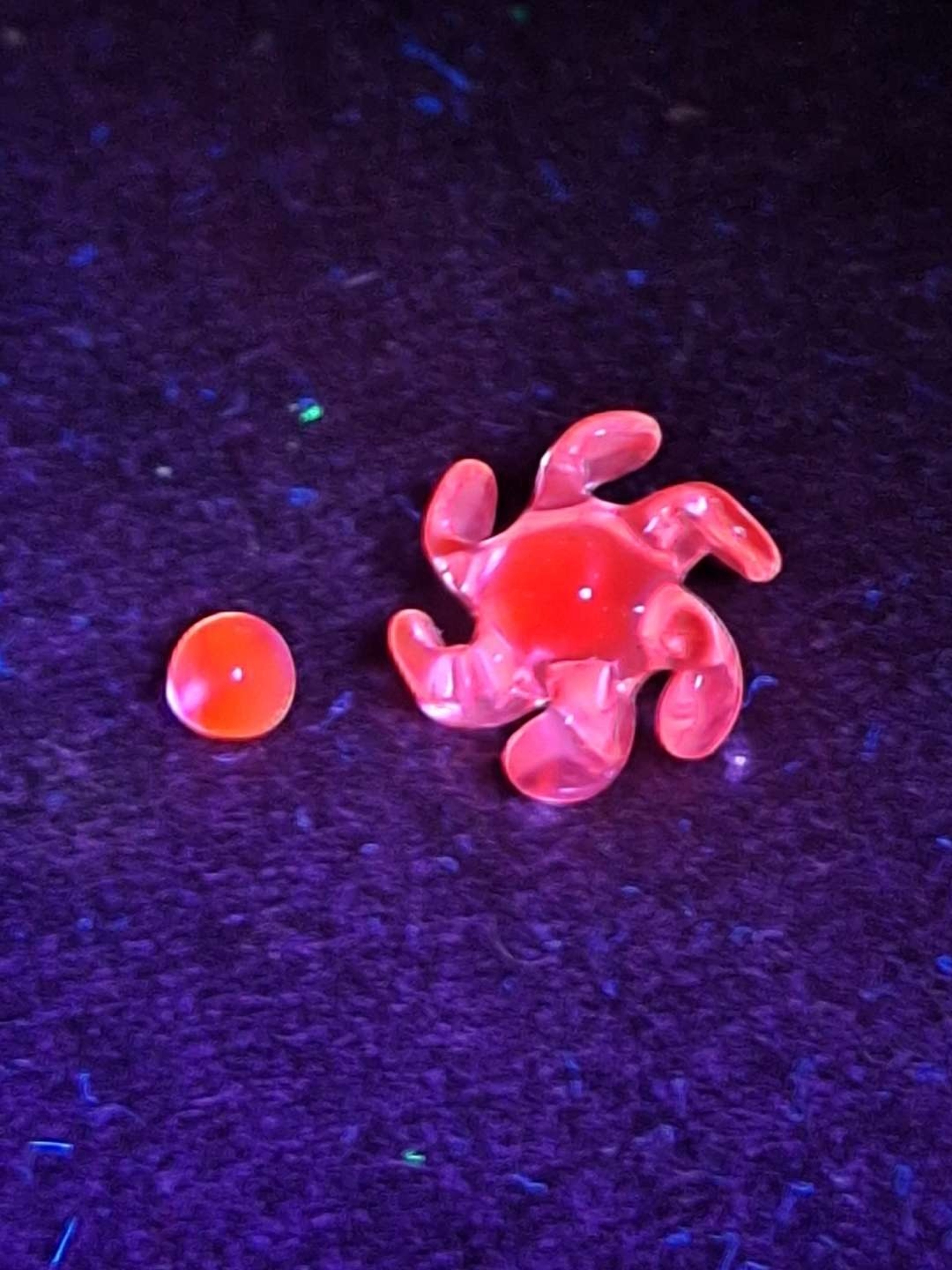 Preview pic of UV Terp Fan w/ pearl