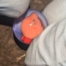 Small image 1
