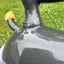 Small image 5