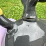 Small image 4