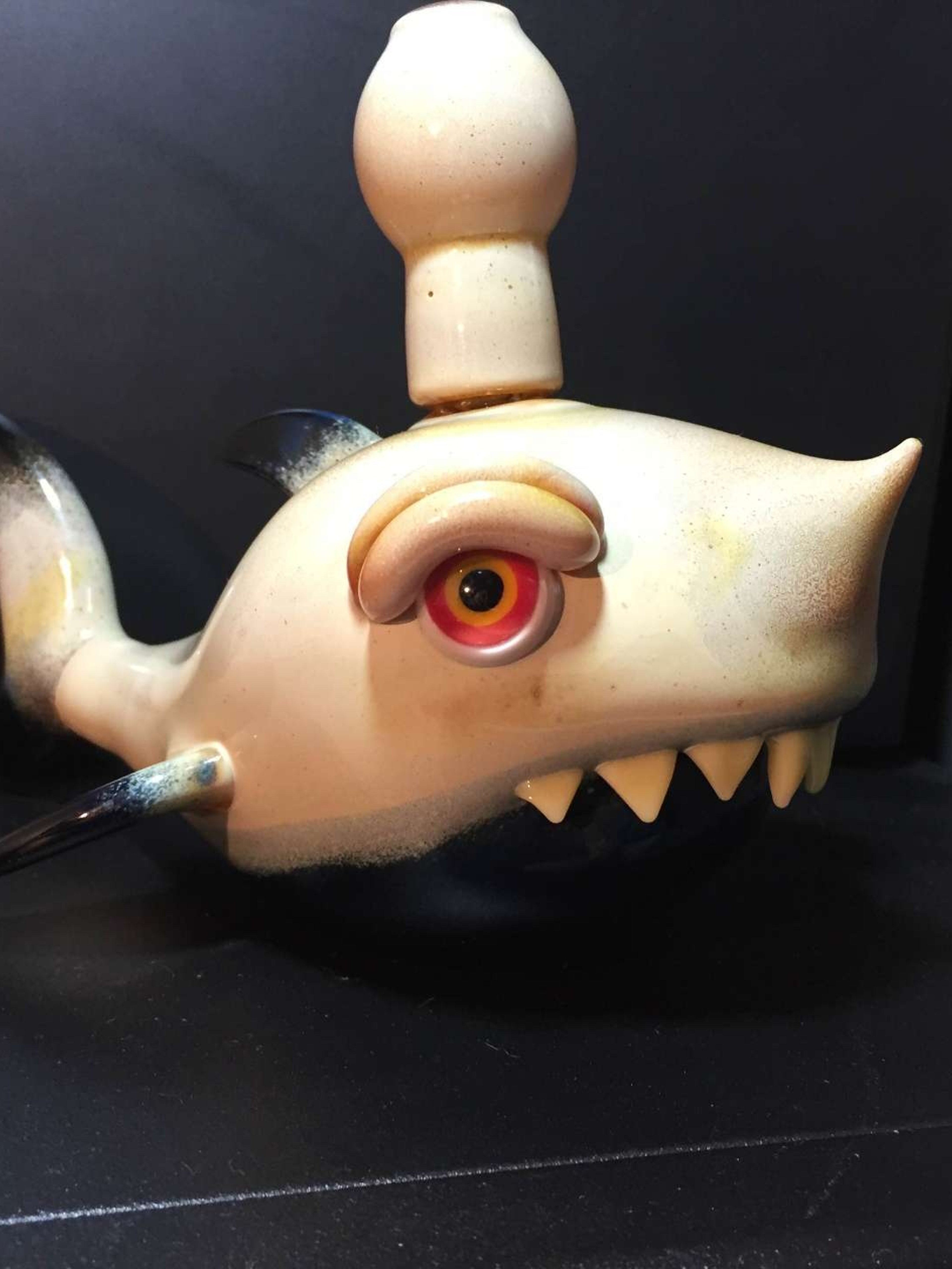 Preview pic of Niko cray black fin Shark