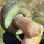 Small image 2