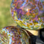 Small image 4