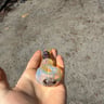 Small image 1