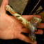 Small image 8