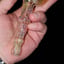 Small image 8
