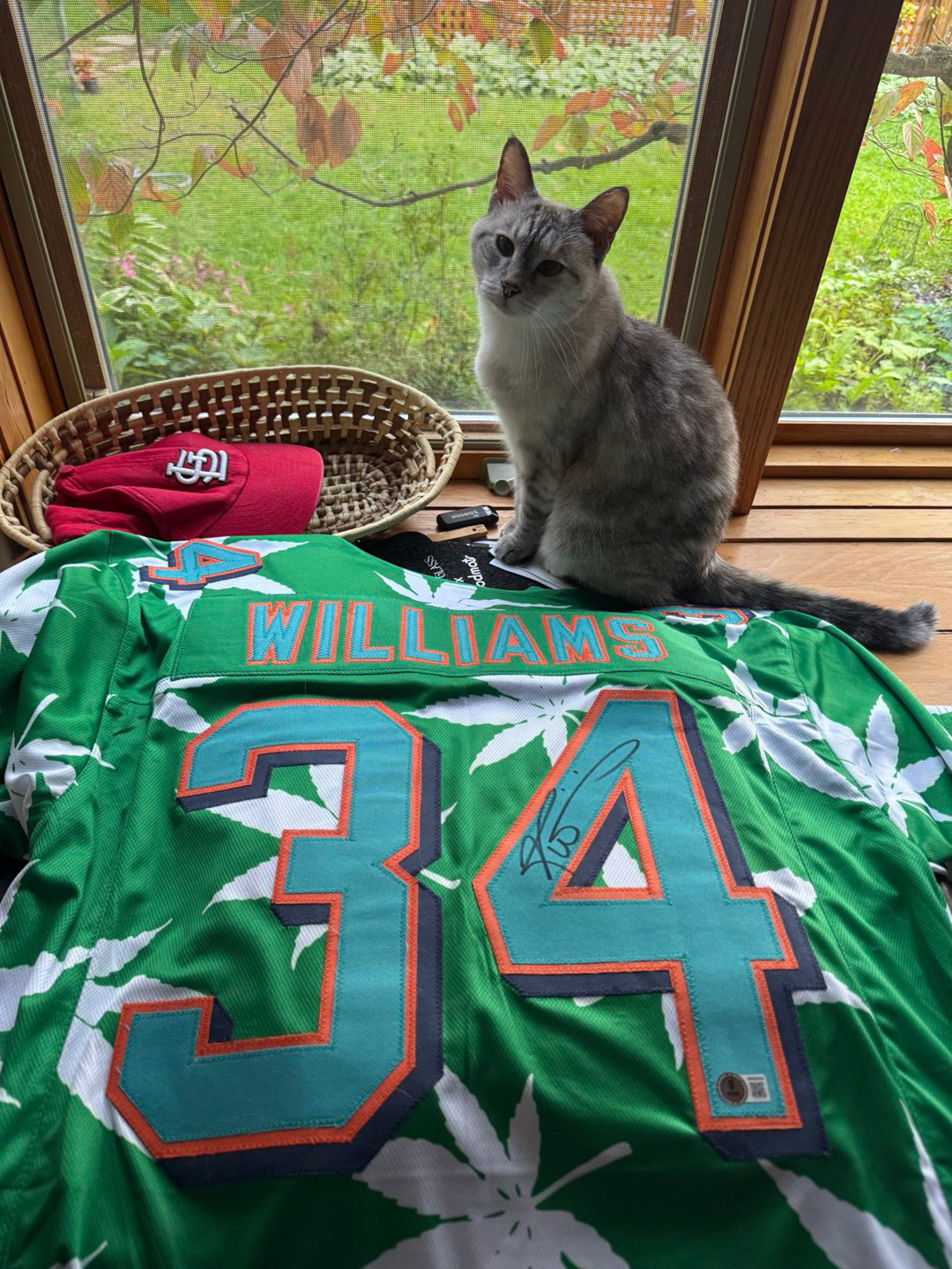 Ricky Williams Signed Jersey image 0