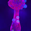 Small image 6