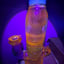 Small image 6