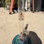 Small image 6