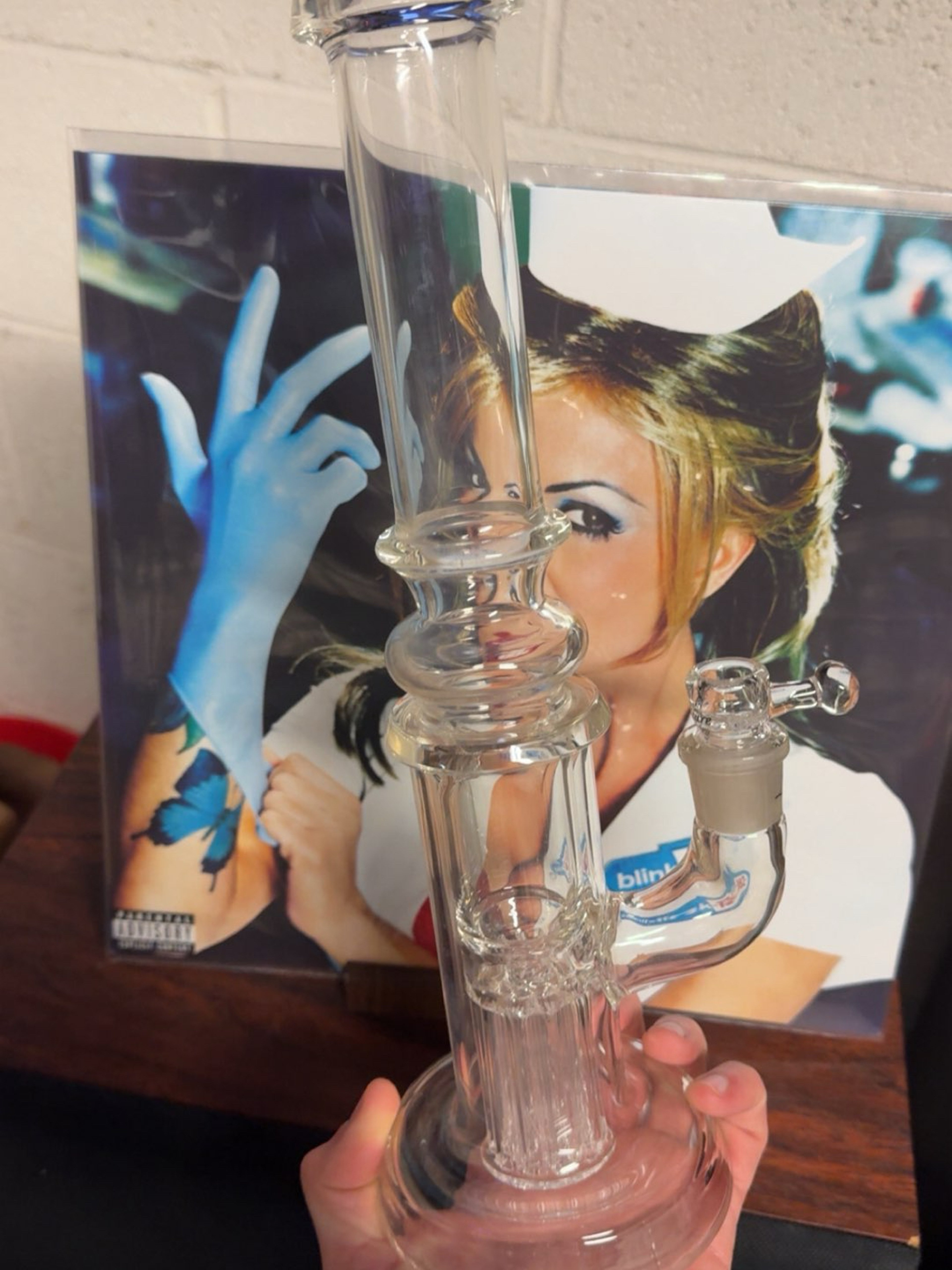 Preview pic of Leisure 10 arm incycler