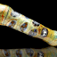 Small image 7