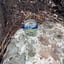 Small image 7