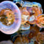 Small image 8