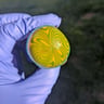 Small image 3