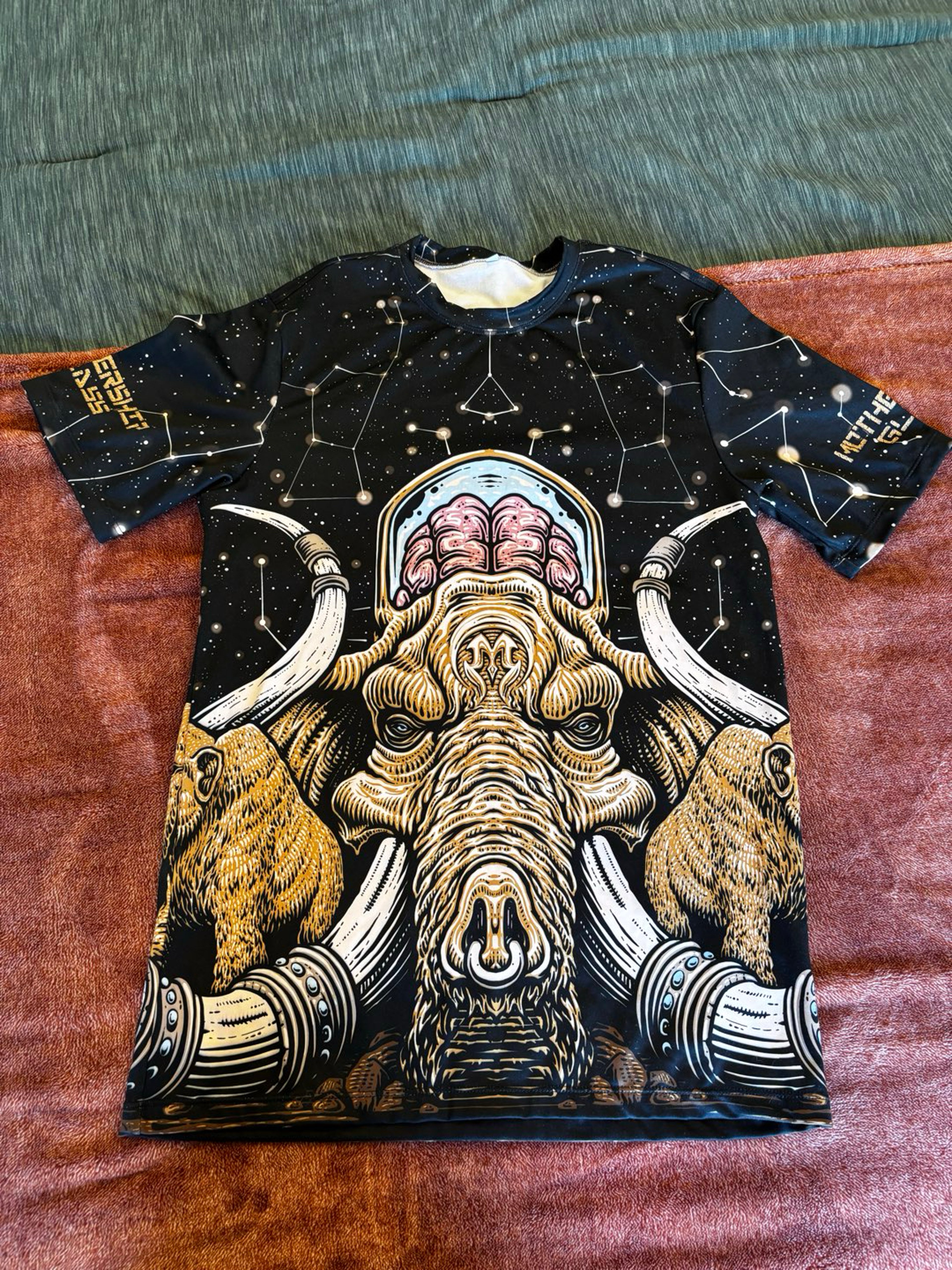 Preview pic of Mothership Glass shirt