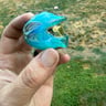 Small image 1