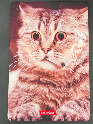 Preview pic of "HIGH KITTY" DAB MAT BY STONERDAYS | 8" X 12"