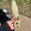Small image 8