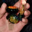 Small image 7