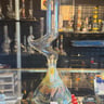 Small image 2