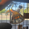 Small image 6