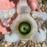 Small image 6
