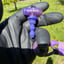 Small image 6