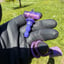 Small image 7