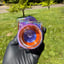 Small image 8