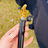Small image 2