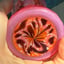 Small image 9