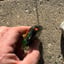 Small image 3