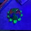 Small image 7