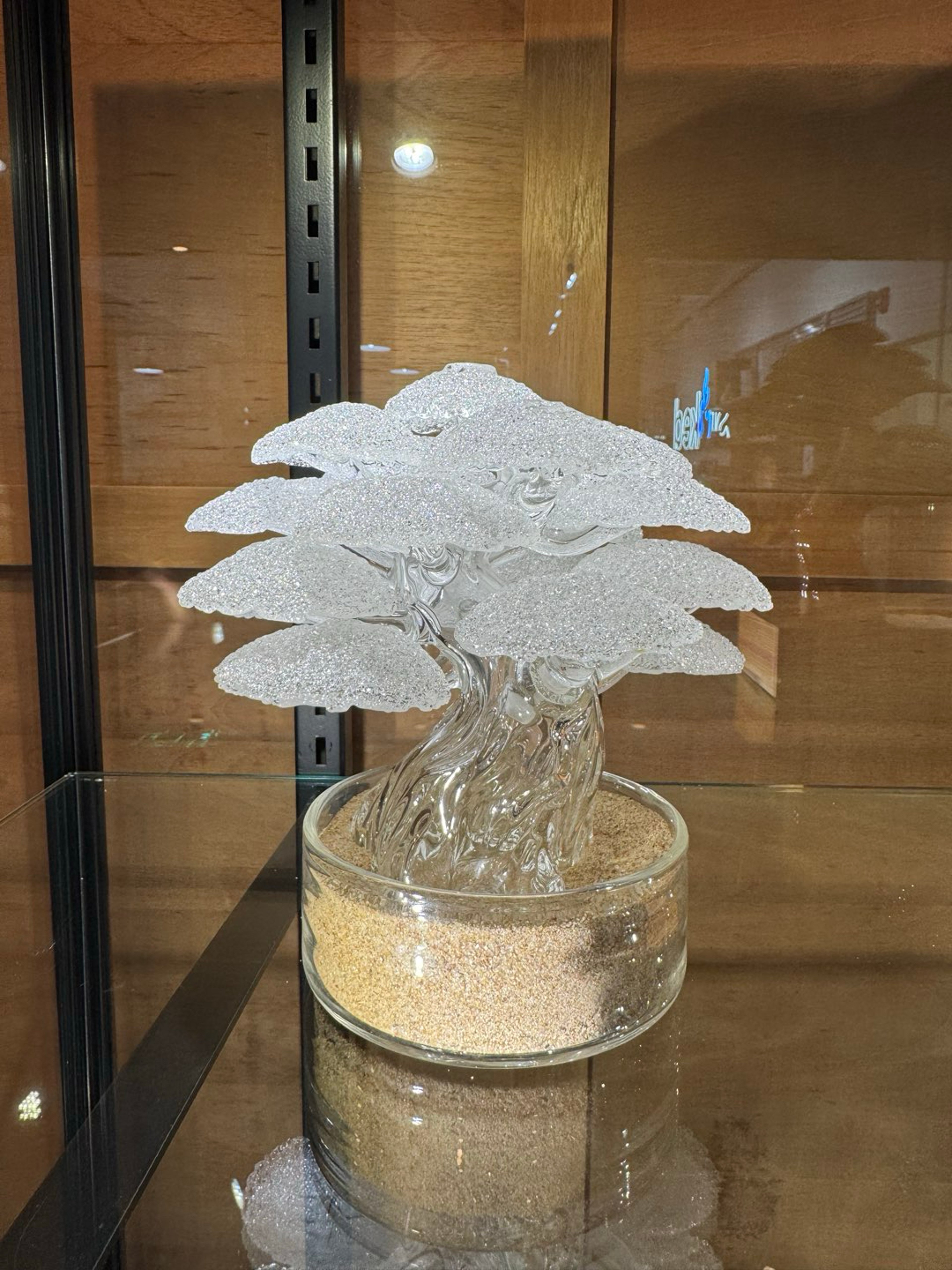 Preview pic of Bubble the Butcher - Clear Bonsai Tree #40