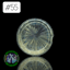 Small image 9