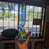 Small image 3