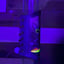 Small image 8