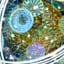 Small image 6