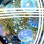 Small image 8
